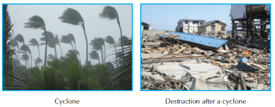 Chapter Notes: Natural Disasters - Notes | Study Social Studies for Class 5 - Class 5