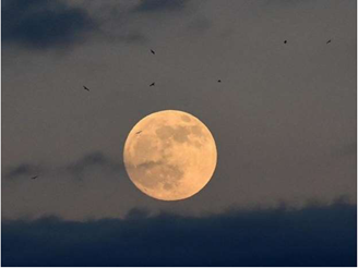 Chapter 1: The Earth in The Solar System Notes | EduRev