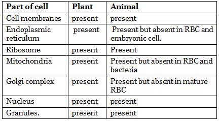 NCERT Summary: Gist of Biology - 1 Notes | EduRev