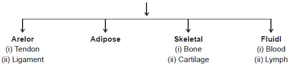 NCERT Gist: Gist of Biology (भाग - 1) Notes | EduRev