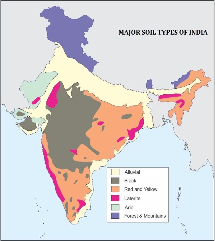 NCERT Summary: Soils- 1 UPSC Notes | EduRev