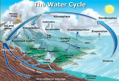 Domains of the Earth Notes | EduRev