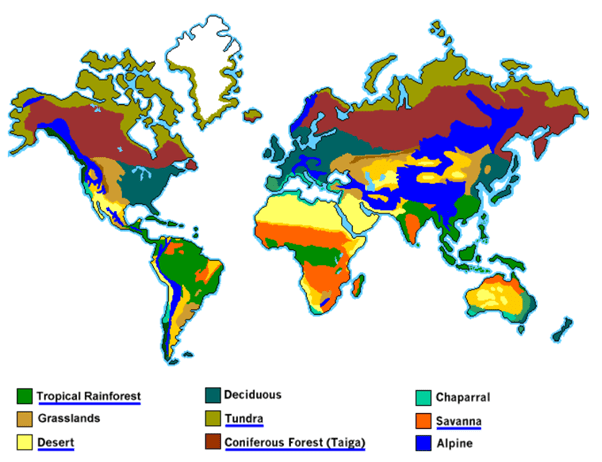 Grasslands Of The World UPSC Notes | EduRev