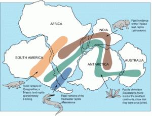 Continental Drift Theory Notes | EduRev