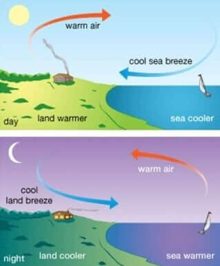 Winds & Wind Types UPSC Notes | EduRev
