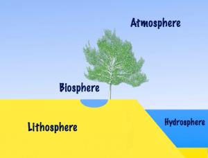 Domains of the Earth Notes | EduRev