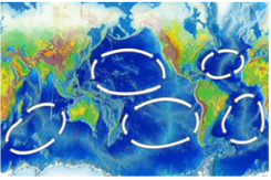 Movements of ocean water: Waves, Tides and Ocean Currents Notes | EduRev