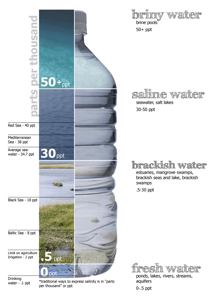 Ocean Salinity Notes | EduRev