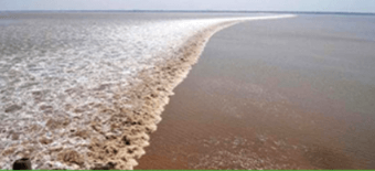 Movements of ocean water: Waves, Tides and Ocean Currents Notes | EduRev