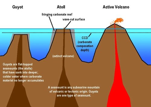 Ocean Relief Features Notes | EduRev
