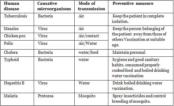 NCERT Summary: Summary of Biology- 7 UPSC Notes | EduRev