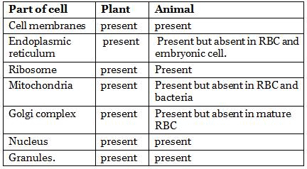 NCERT Gist: Gist of Biology (भाग - 1) Notes | EduRev