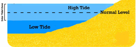 Movements of ocean water: Waves, Tides and Ocean Currents Notes | EduRev