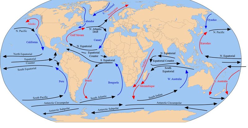 Temperature Belts Notes | EduRev
