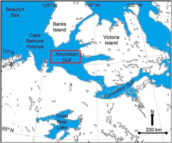 Major Gulfs of the world Notes EduRev