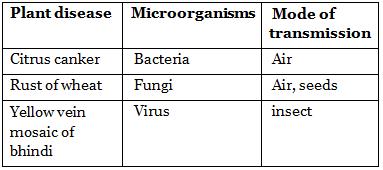 NCERT Summary: Summary of Biology- 7 UPSC Notes | EduRev