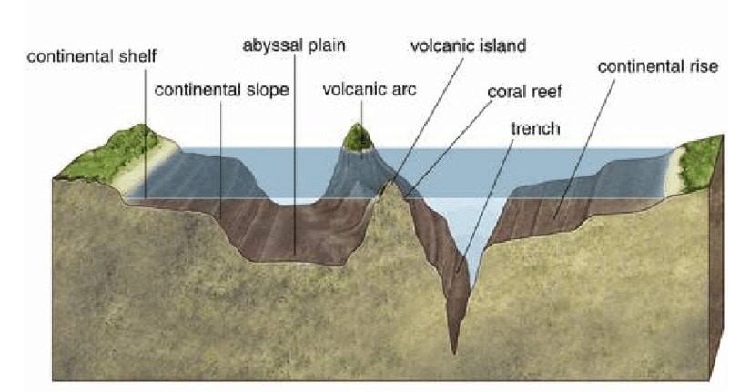 Ocean Relief Features Notes | EduRev