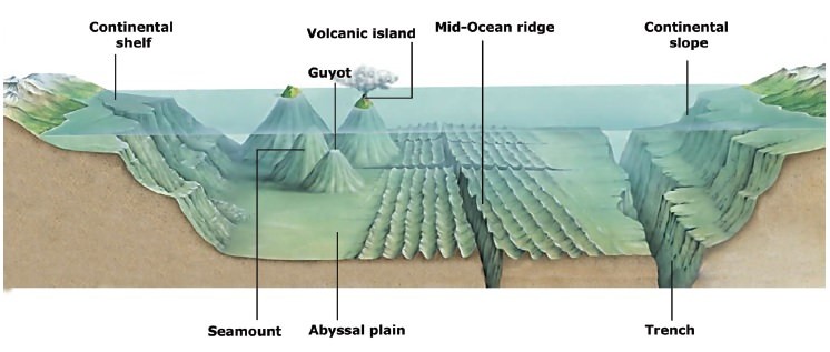 Ocean Relief Features Notes | EduRev