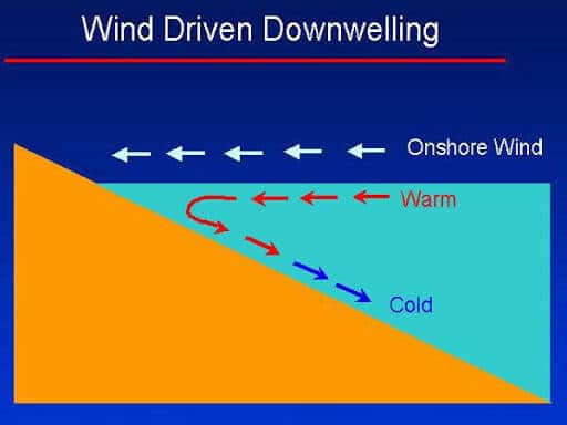 Ocean Current and types of Currents Notes | EduRev