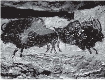 Chapter - 2: ON THE TRAIL OF THE EARLIEST PEOPLE Notes | EduRev
