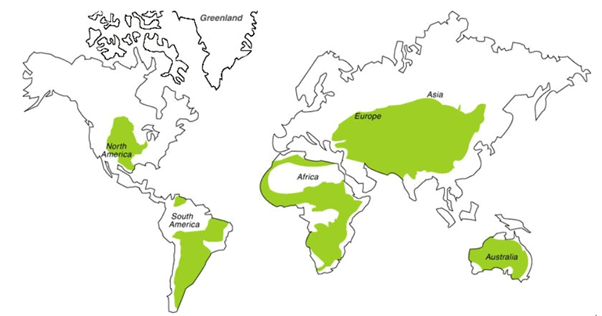 Grasslands of the World UPSC Notes | EduRev