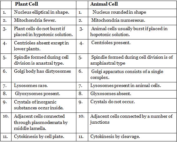 NCERT Summary: Gist of Biology - 1 Notes | EduRev