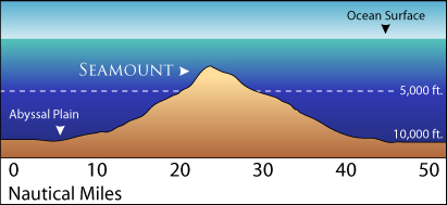 Ocean Relief Features Notes | EduRev