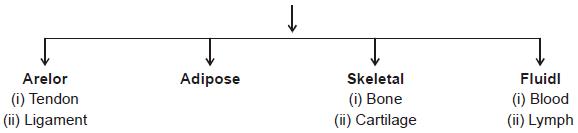 NCERT Summary: Gist of Biology - 1 Notes | EduRev