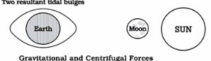 Movements of ocean water: Waves, Tides and Ocean Currents Notes | EduRev