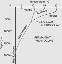 Ocean Salinity Notes | EduRev