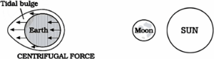 Movements of ocean water: Waves, Tides and Ocean Currents Notes | EduRev