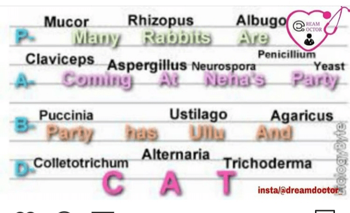Trick To Learn Example Of Fungi Neet Notes Edurev