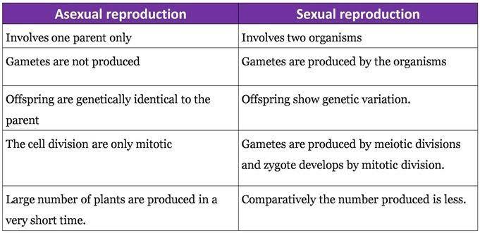 Differentiate Between Sexual Reproduction And Asexual Reproduction Edurev Class 10 Question 7756