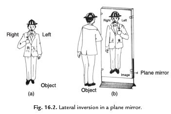 Facts that Matter - Light Class 8 Notes | EduRev