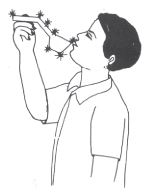 Short Notes - Stars and the Solar System, Science, Class 8 Class 8 Notes | EduRev