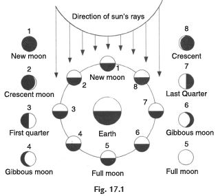 Short Notes - Stars and the Solar System, Science, Class 8 Class 8 Notes | EduRev
