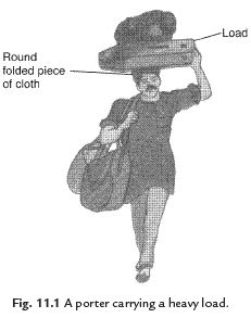 Short Notes - Force and Pressure, Science, Class 8 Class 8 Notes | EduRev