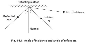 Facts that Matter - Light Class 8 Notes | EduRev