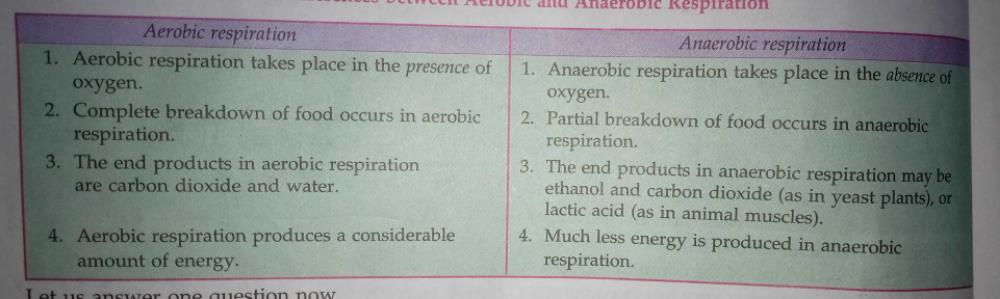 difference-between-aerobic-and-anaerobic-respiration-edurev-class-10