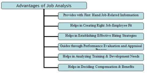 job analysis advantages edurev disadvantages evaluation contemporary notes management