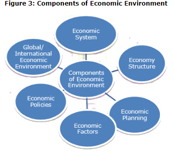 environment economic business components activities edurev impact notes which their