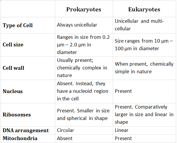 Difference between Prokaryotic & Eukaryotic Cells Class 11 Notes | EduRev