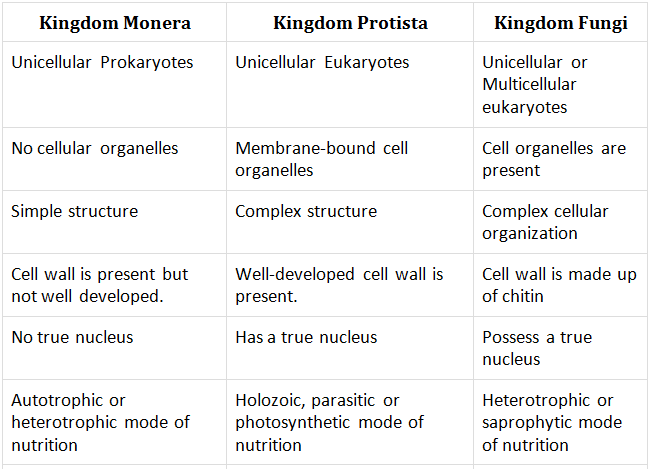 Kingdom Monera Protista And Fungi Class Notes Edurev | My XXX Hot Girl