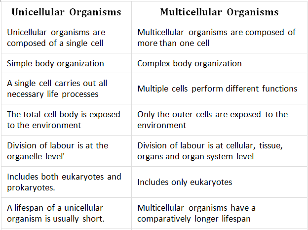 Difference between Unicellular and Multicellular Organisms Class 11 ...