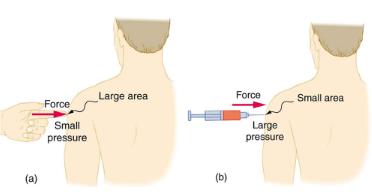 Pressure - Fluid statics Physics Notes | EduRev