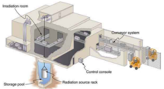 Food Irradiation Physics Notes | EduRev