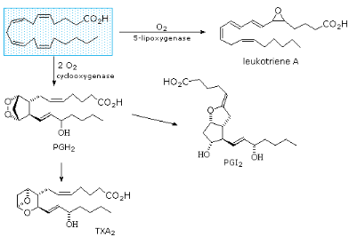 Fatty Acids Terpenes Steroids Part 2 Chemistry Of