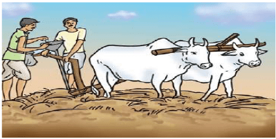 Chapter 1- Crop Production Class 8 Notes | EduRev