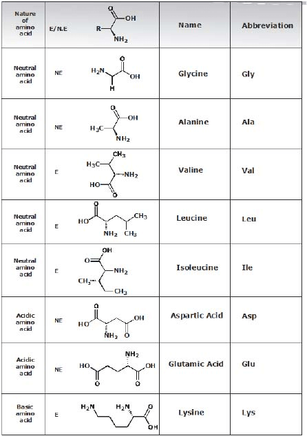 Detailed Chapter Notes - Biomolecules and Polymers, Class 12, Chemistry ...