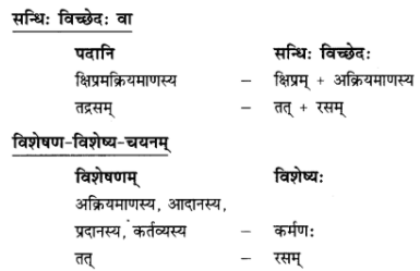 अनुवाद - गोदोहनम् | Chapter Explanation - Notes | Study संस्कृत कक्षा 9 (Sanskrit Class 9) - Class 9